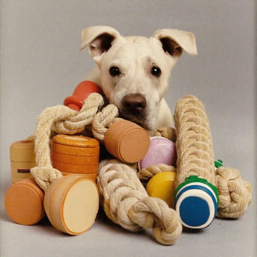 Rope and rubber dog toys